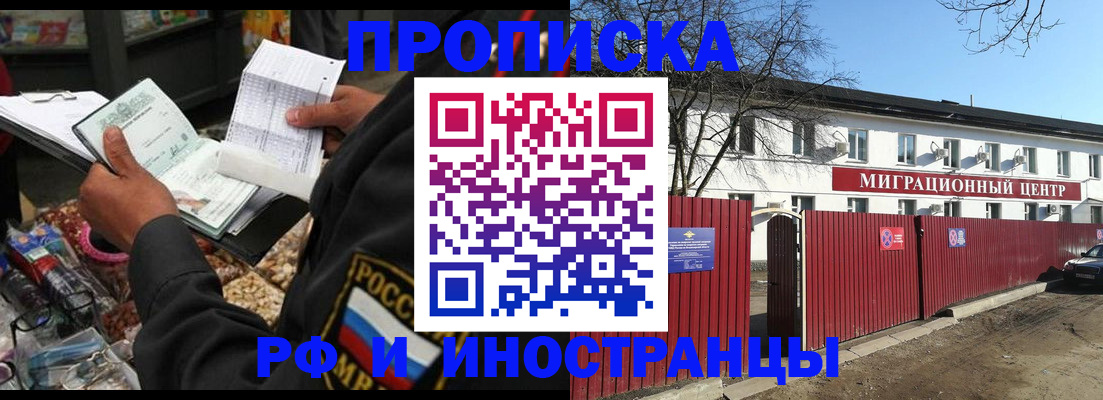 прописка поиск в Березниках